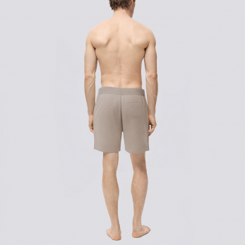 Grey side stripe quick dry men's swim trunks